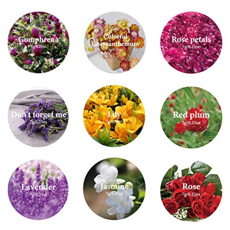 9 Bags Dried Flowers,100% Natu - Candle Making Diy Kit 评论和价格